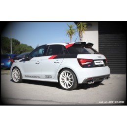 AFS1.CAT Inoxcar Downpipe...