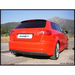 AFS3.02CAT Inoxcar Downpipe...