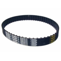 Extra wide belt for all...