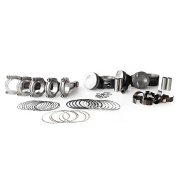 Pistoni forgiati 2.5L TFSI...