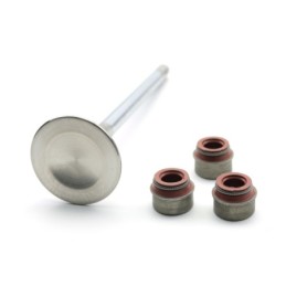 G60 & G40 Valve stem seals...