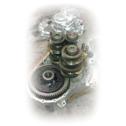 Albero motore billet 02M e...