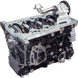 1.8T Block 1.8L over 300 PS...
