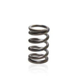 2.0L TFSI EA113 spring for...