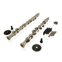 2.0L TFSI EA113 Camshafts...