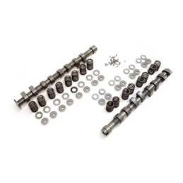 Set di alberi a camme 1.8T...