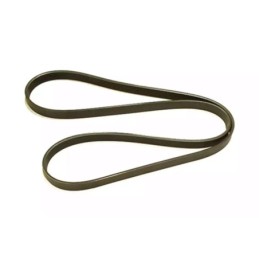 1.8T 6PK Belt