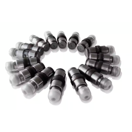 2.0L TSI EA888 Hydro tappet...