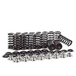 VALVE SPRING SET FERREA...