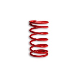 2914023.R0 RED VARIATOR...