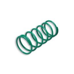 2914401.G0 GREEN VARIATOR...