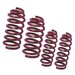 Vogtland springs for Suzuki...