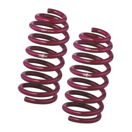 Vogtland springs for Opel...