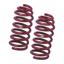 Vogtland springs for BMW...