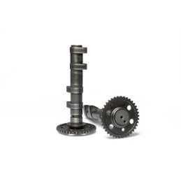 5919140 CAMSHAFT DOUBLE...